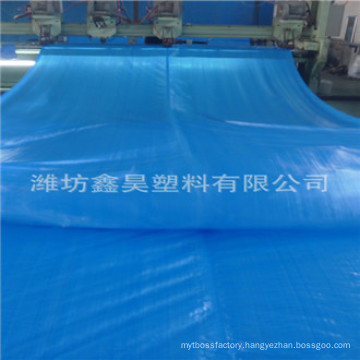 Heavy Duty 200 GSM Blue Waterproof PE Tarpaulin